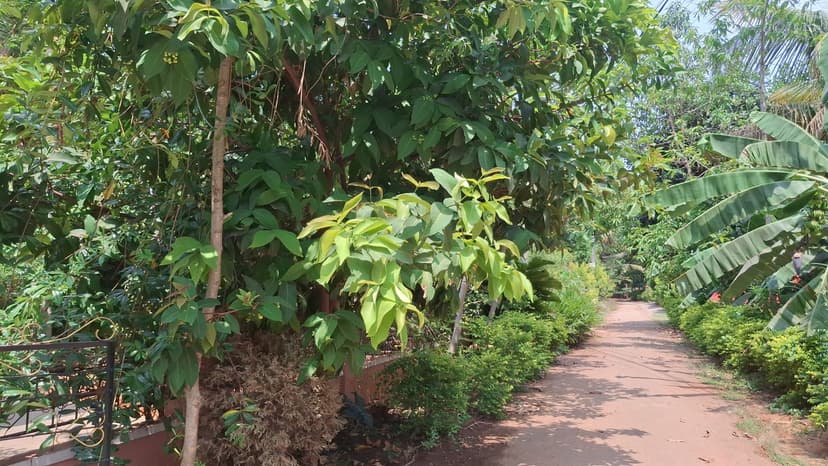 Learning environment at Chidambarashrama