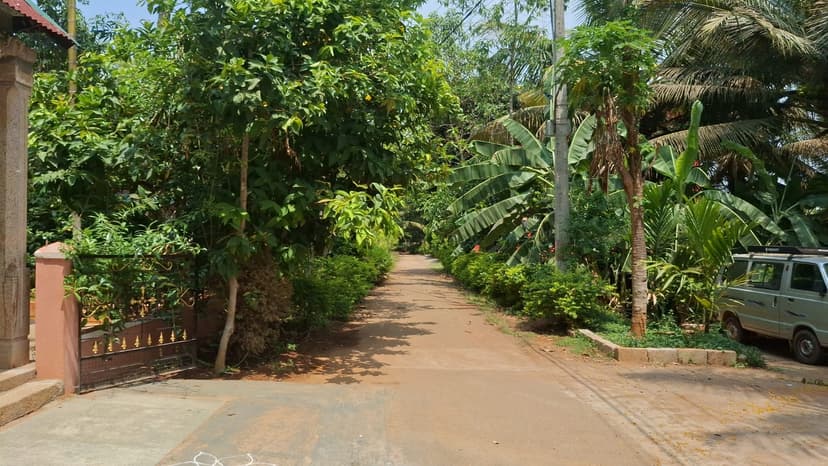 Chidambarashrama activities