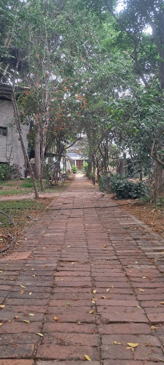 Learning session at Sri Ramana Maharshi Brahmavidyashrama