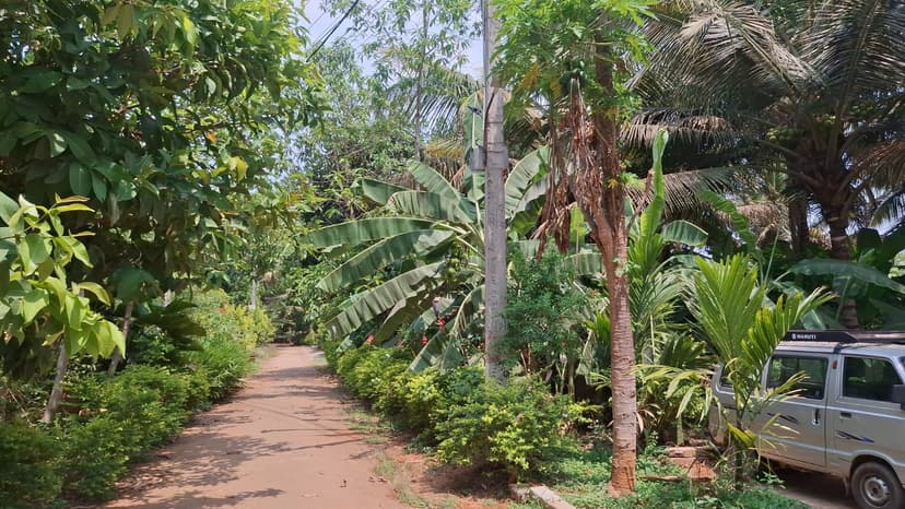 Sri Ramana Maharshi Brahmavidyashrama campus