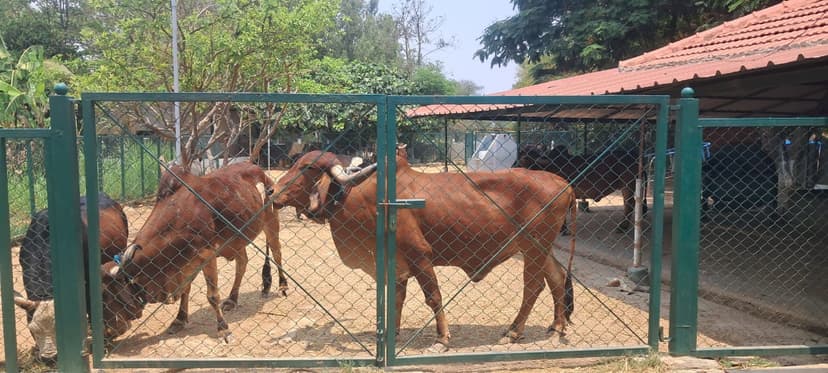 Varthur Gurukula — students in a traditional learning setting