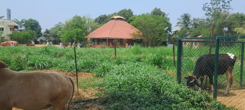 Students at Varthur Gurukula engaged in recitation