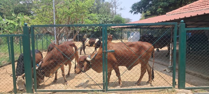 Varthur Gurukula classroom setting