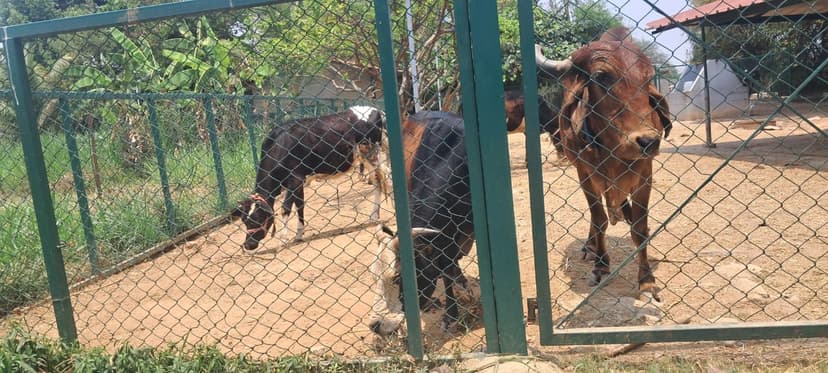 Varthur Gurukula learning environment